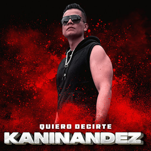 Portada de Quiero decirte